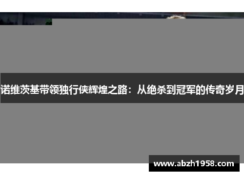 诺维茨基带领独行侠辉煌之路：从绝杀到冠军的传奇岁月