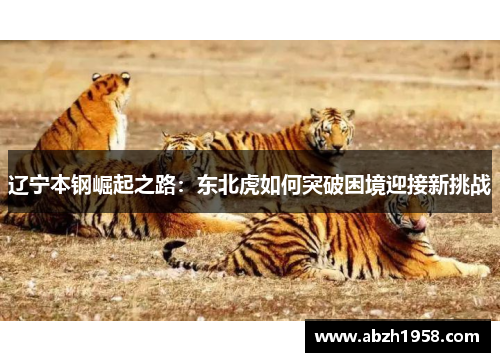 辽宁本钢崛起之路：东北虎如何突破困境迎接新挑战